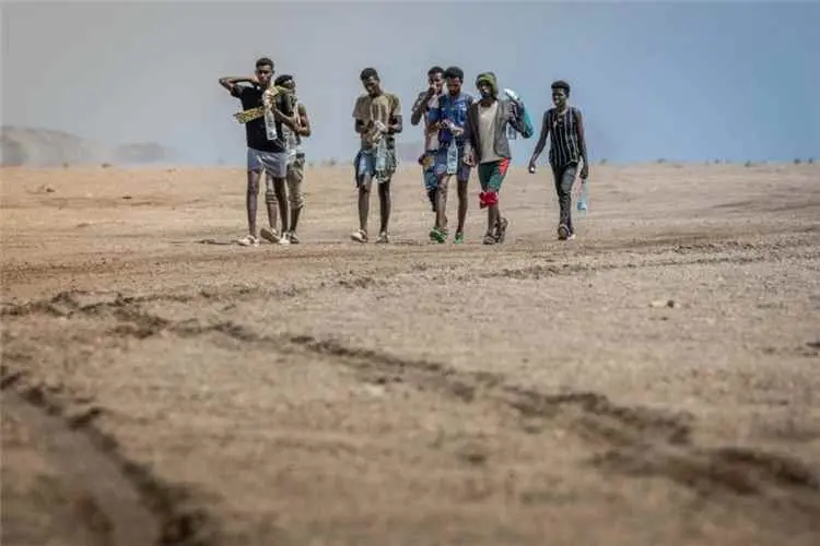 منظمة الهجرة الدولية: تدفق المهاجرين إلى اليمن يقت...