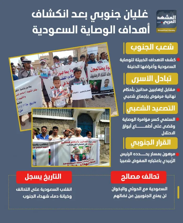 غليان جنوبي بعد انكشاف أهداف الوصاية السعودية (إنف...