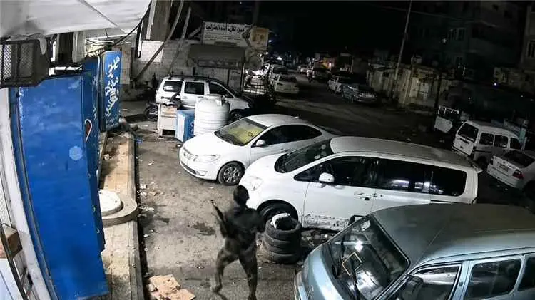 الأمن الوطني بعدن يوضح ملابسات إطلاق النار على أحدى دورياته من قبل مسلح في المنصورة