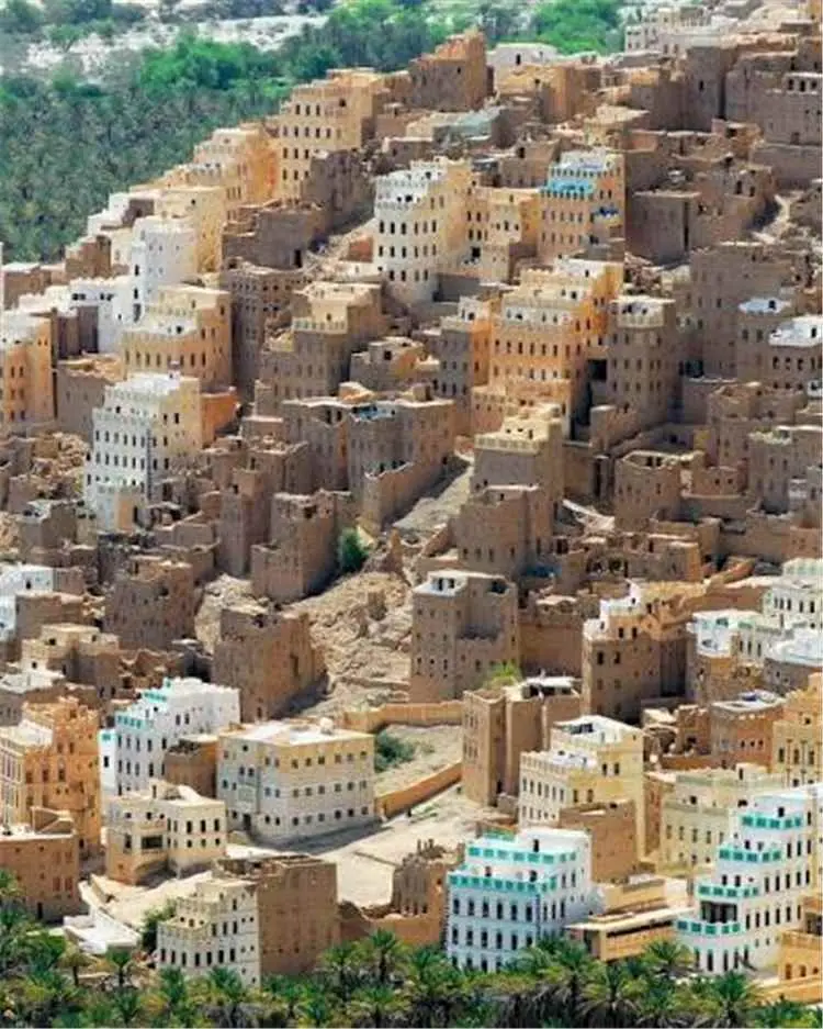 رياض الجهوري يطلع على سير العمل في مكتب التخطيط والتعاون الدولي بوادي حضرموت