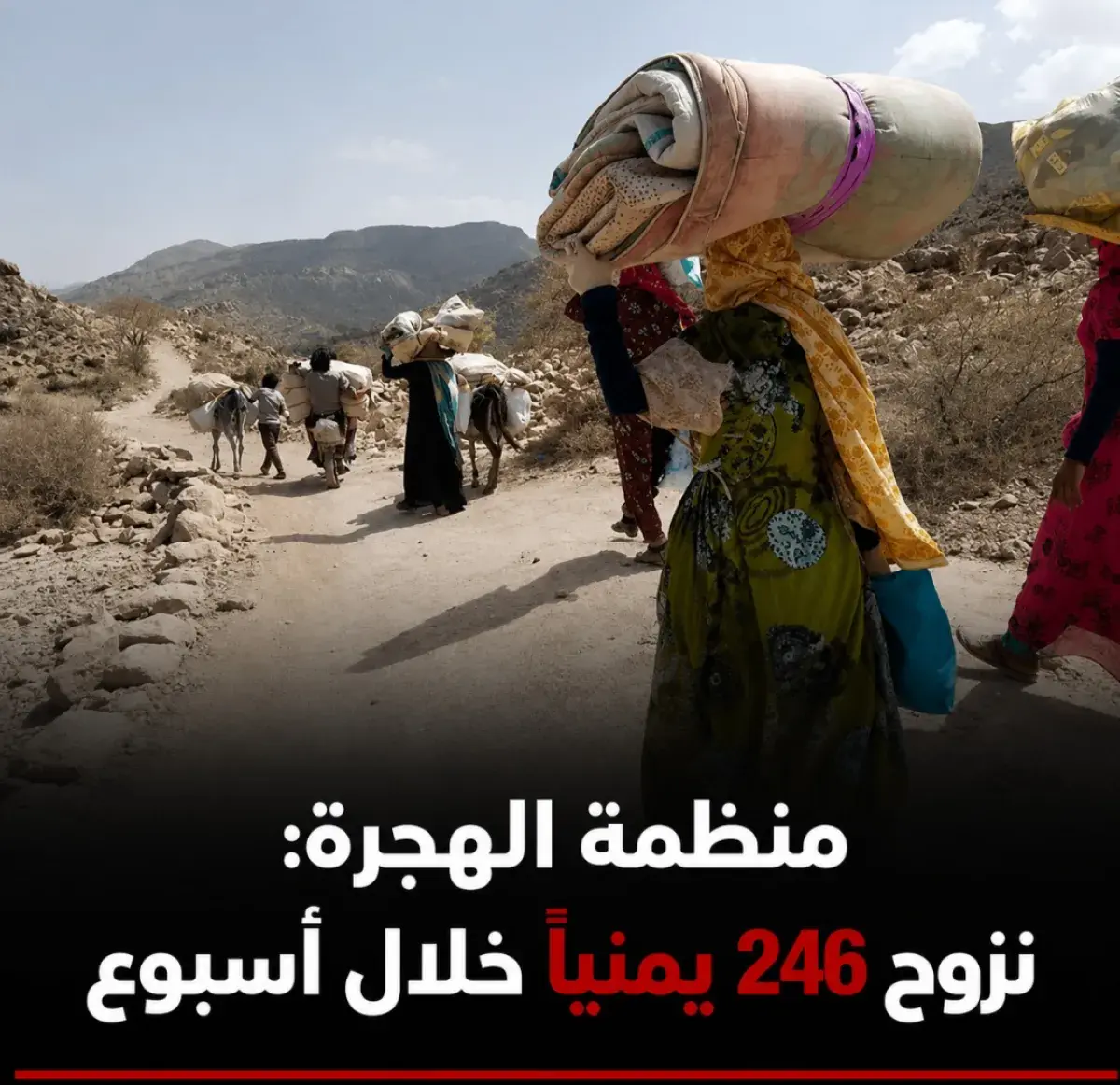 منظمة الهجرة: نزوح 246 يمنياً خلال أسبوع