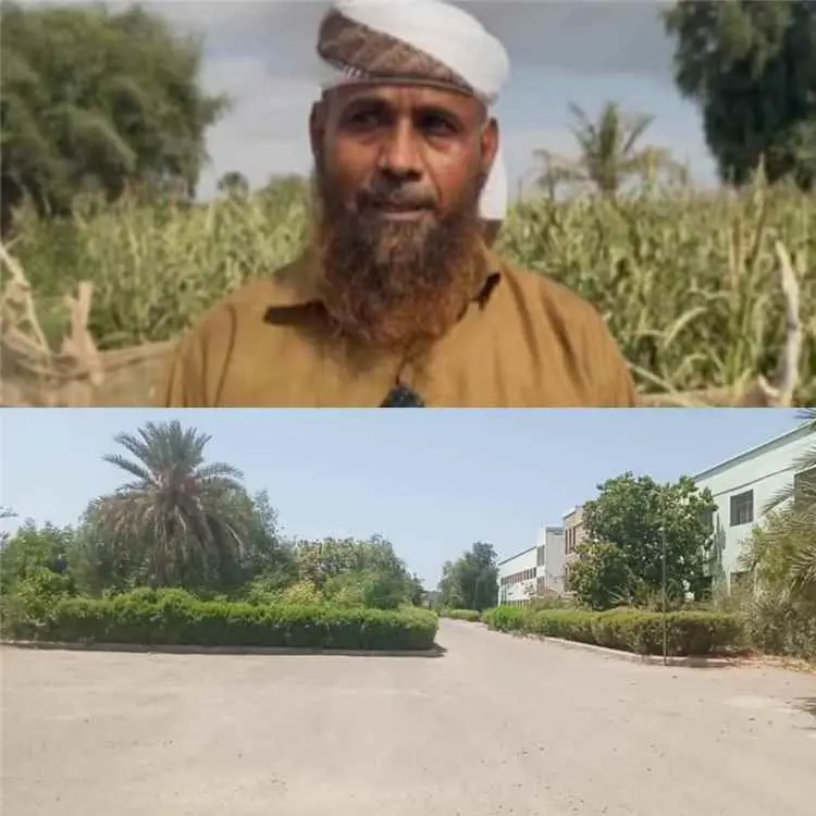 محطة الأبحاث الزراعية بأبين.. صرح علمي عريق يصارع الأهمال