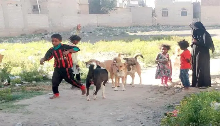 4 آلاف إصابة بداء الكلب و6 وفيات في اب والحوثي يتا...
