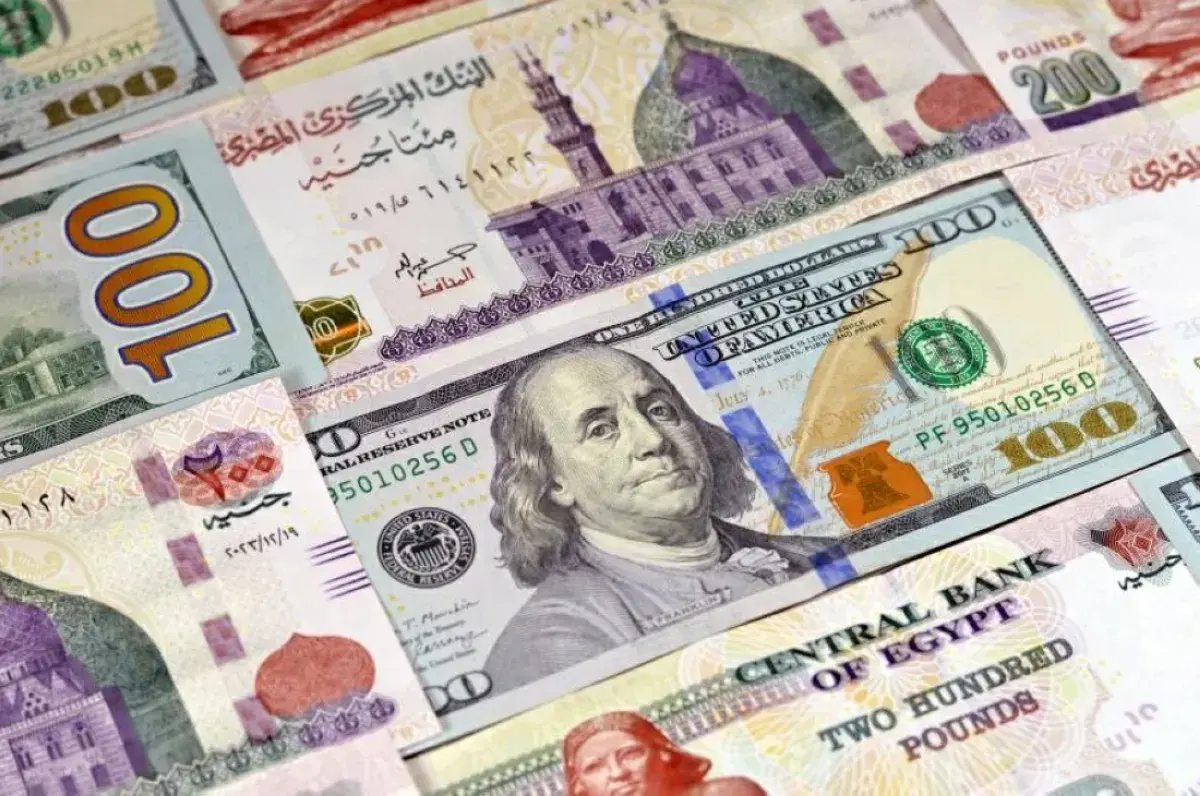 استقرار سعر الدولار أمام الجنيه المصري اليوم