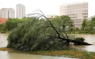 الأرض على صفيح ساخن.. زلازل وموجات حرّ و«إيبولا»