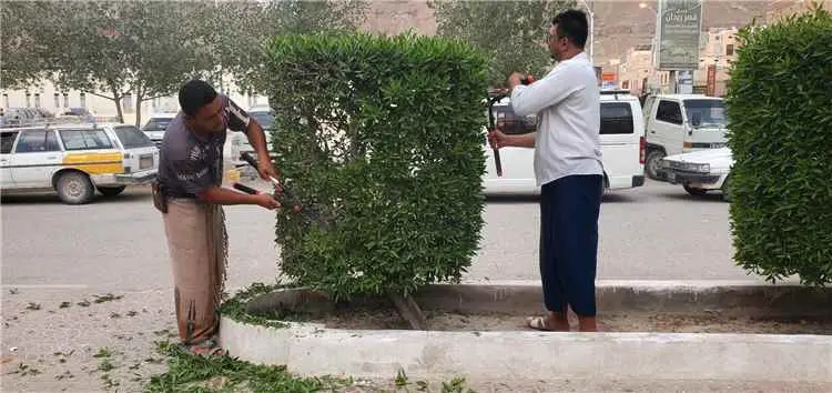 فريق التشجير بوحدة النظافة والتحسين بمديرية القطن...