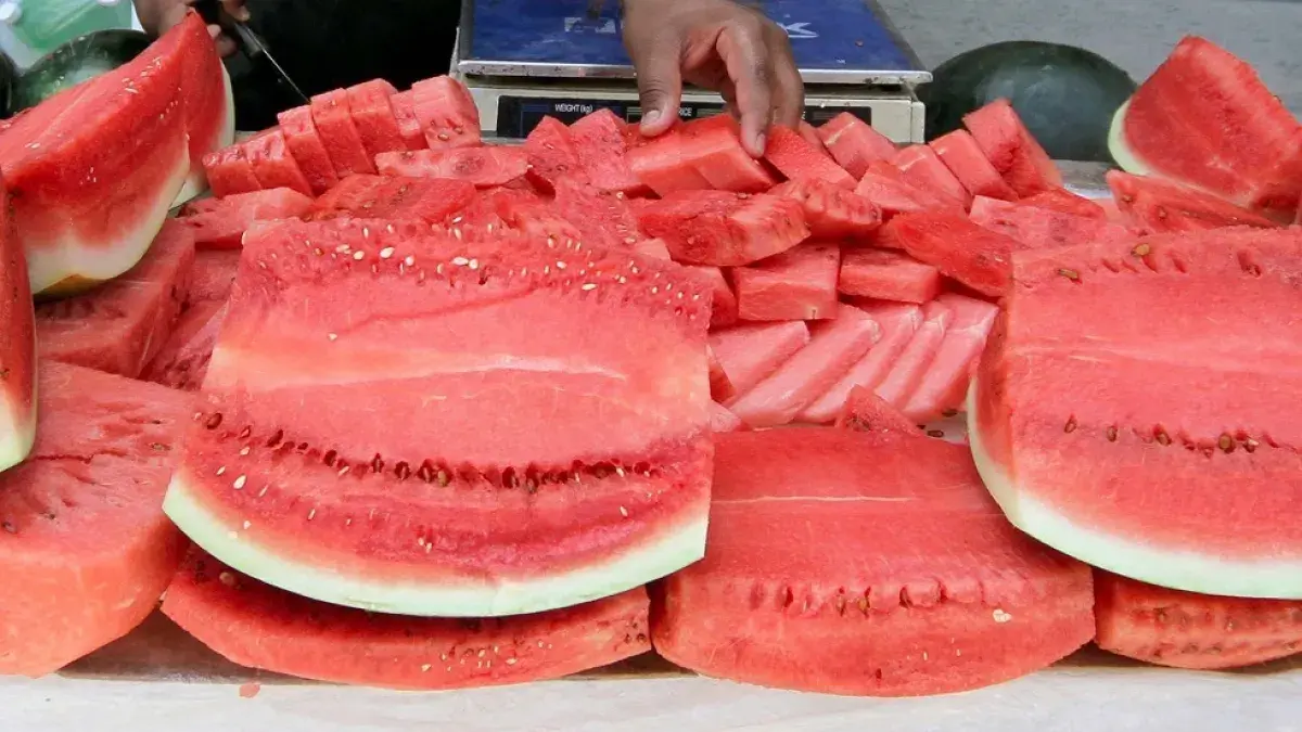 خبيرة روسية: البطيخ الأحمر "غذاء مخادع" ويحذر منه...