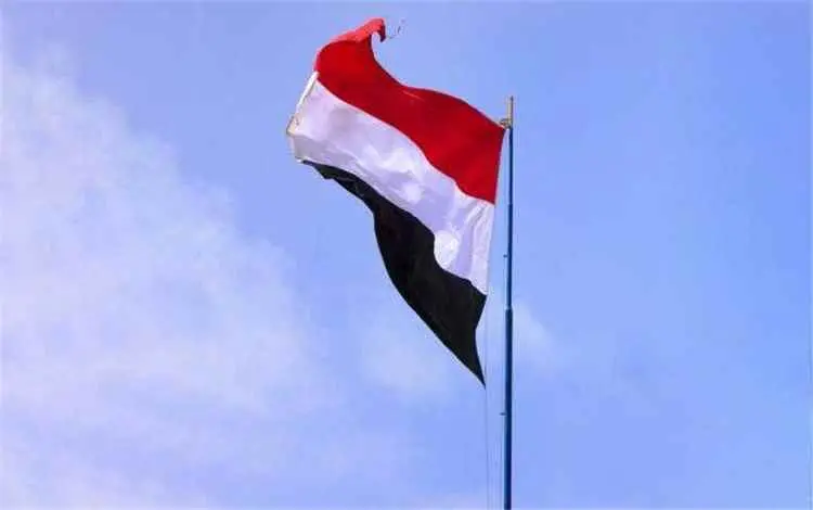 وزيران يؤكدان تمسك الحكومة بسيادة اليمن ودعمها للم...