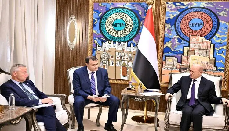 العليمي للبرلمان الأوروبي: ردع إرهاب الحوثي وإيران مفتاح استقرار المنطقة وحماية الملاحة الدولية