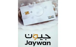 «جيوَن».. منظومة مدفوعات وطنية بمكاسب اقتصادية