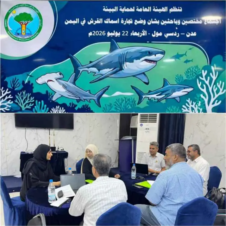 الإدارة العامة للتنوع الحيوي تعقد اجتماعًا خاصًا للحفاظ على أسماك القرش وتقرّ عددًا من التوصيات