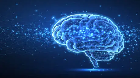 أطعمة بسيطة تعزز صحة الدماغ وتحسن المزاج