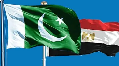 من التجارة إلى الدفاع.. باكستان تؤكد تطلعها لتعميق...