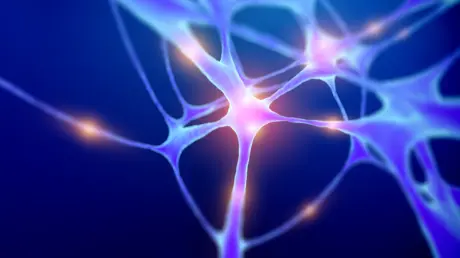 اكتشاف هام في الدماغ قد يمهد لعلاجات جديدة لاضطراب...