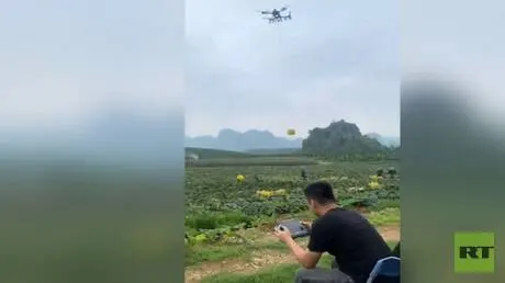 الصين.. عمليات زراعة المحاصيل وجمع إنتاجها بالتقني...