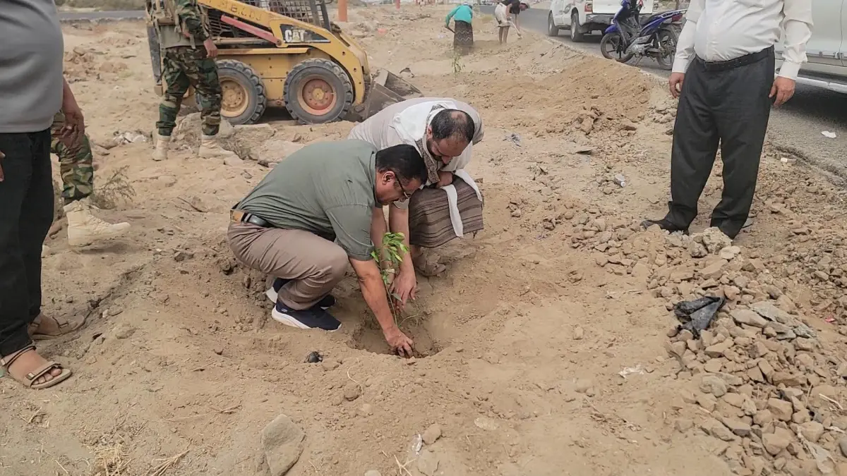 "الداؤودي" يدشن تشجير الطريق العام لمديرية البريقة
