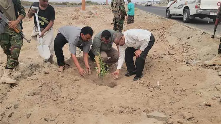 "الداؤودي" يدشن تشجير الطريق العام لمديرية البريقة