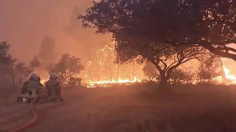 حرائق الغابات في فرنسا تسجل رقما قياسيا بنحو 98 أل...