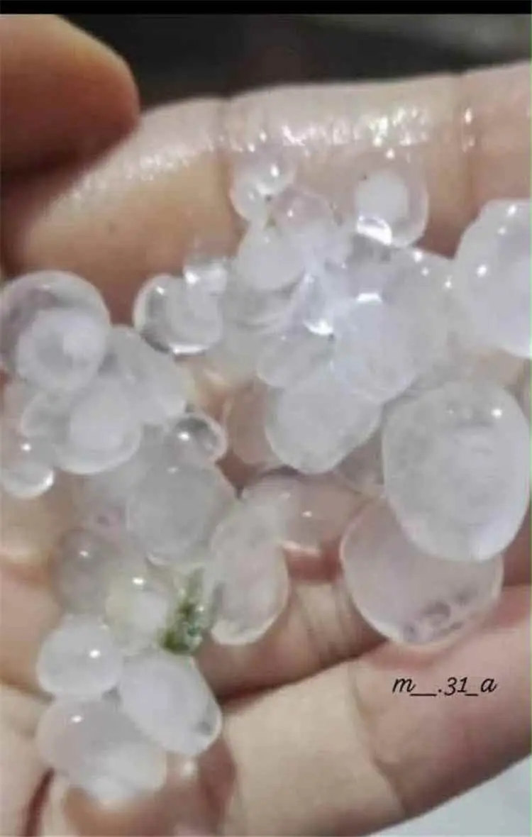 أمطار مصحوبة بحبات البرد تهطل على لحج.. وآمال بأن...