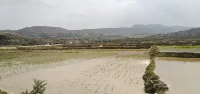 أمطار وعواصف وبَرَد.. احذروا التهاون