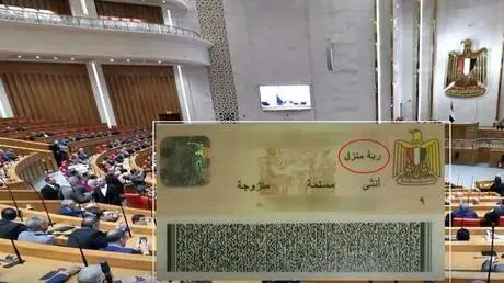 فكرة إماراتية تعود إلى الواجهة في مصر وتثير جدلا و...