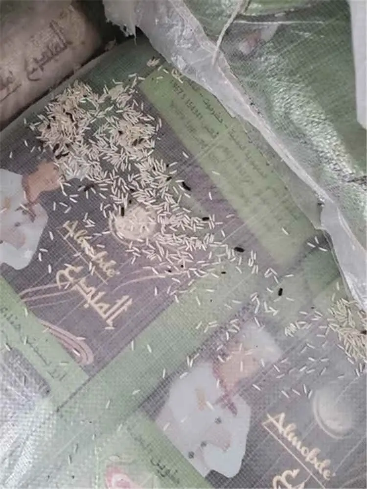 مكتب الأشغال العامة والطرق بالشحر ينفذ حملة تفتيشي...