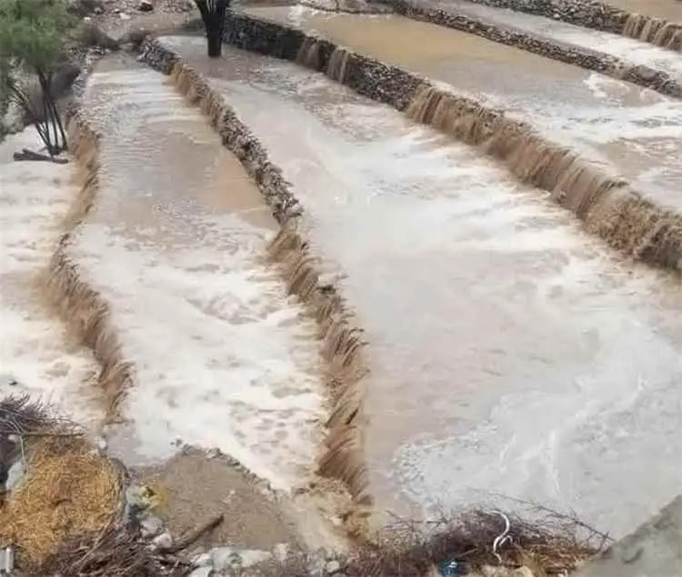 المدرجات الزراعية في يافع.. سدود طبيعية يهددها الإ...