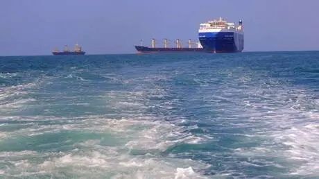وزيرة خارجية اليمن: الحوثيون يسعون لاستنساخ نموذج...