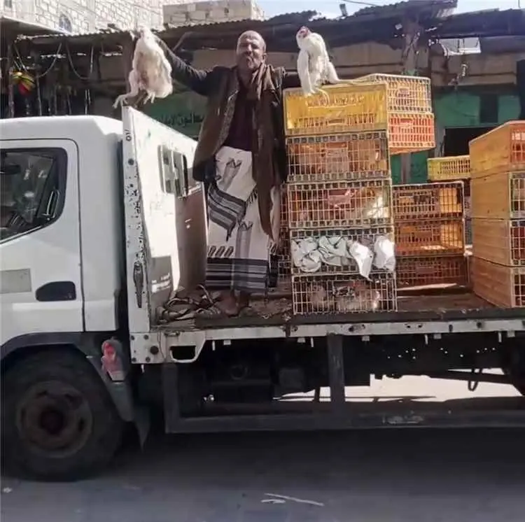 تجار الدجاج يناشدون المستهلكين :“ الدجاجة بنصف سعر...