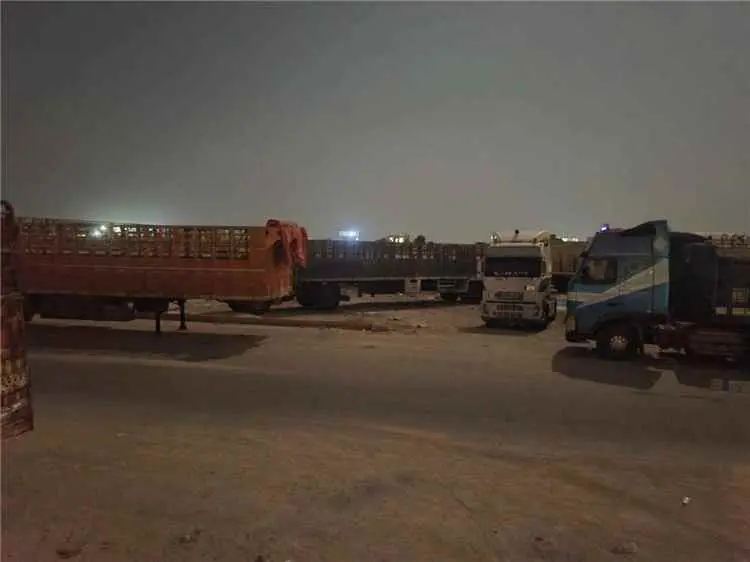 سائقو النقل "الفلة السفري" في ميناء المكلا يوجهون...