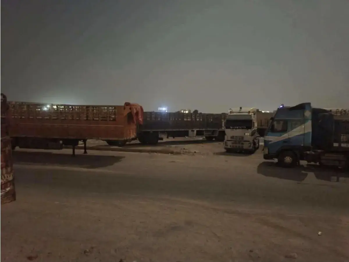 سائقو النقل السفري بميناء المكلا يطالبون المحافظ ب...