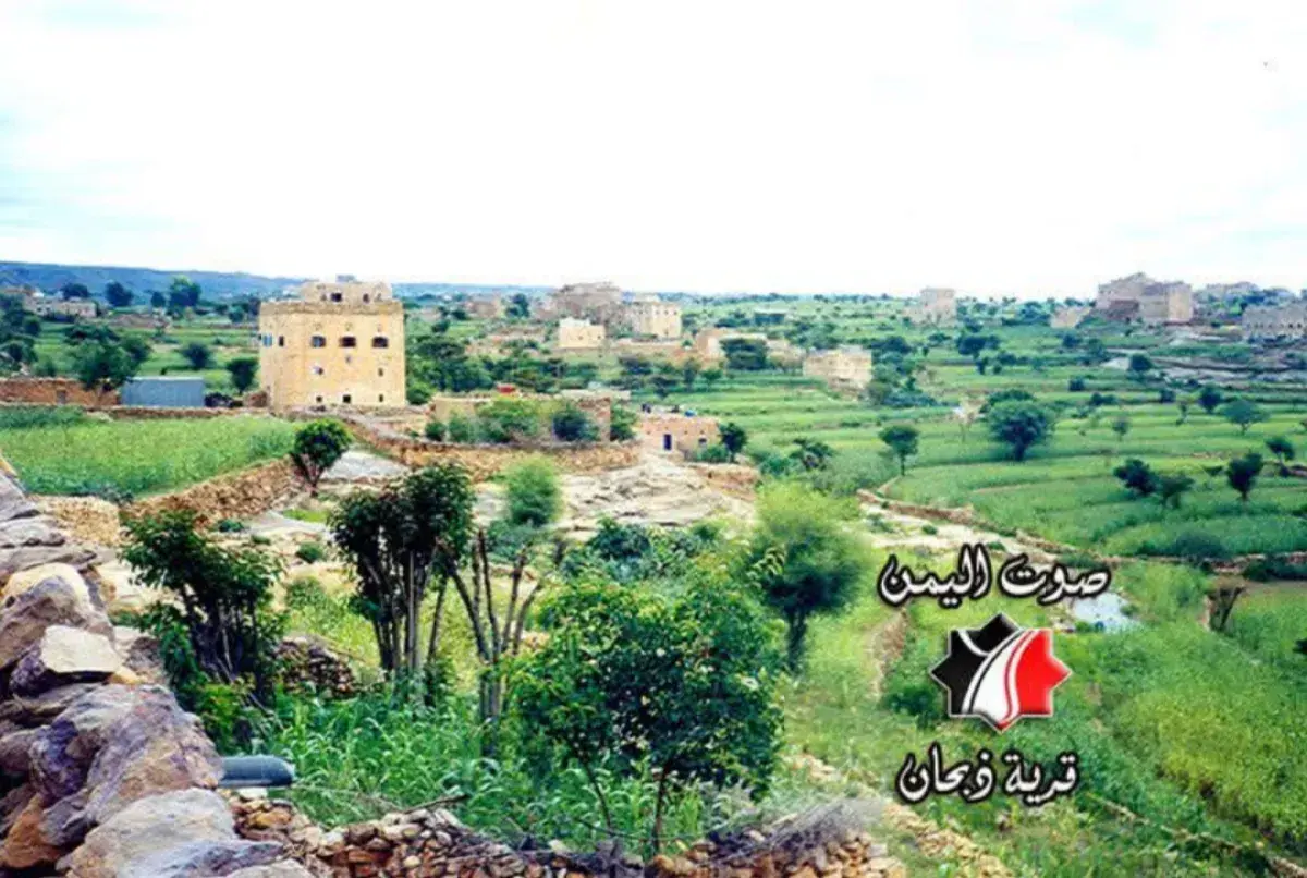 غرق الطفلة "إليا" في بركة مياه بمنطقة الجبانة - ذب...