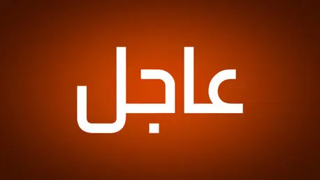الدفاع الروسية: استهدفنا الليلة مصانع ومستودعات لل...