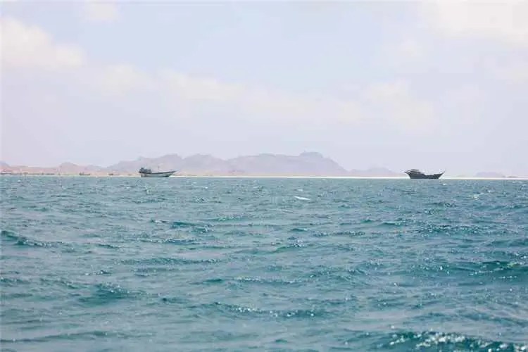 الحوثيون ينفون التخطيط لفرض رسوم على المرور عبر مض...