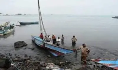 فتح موسم اصطياد الحبار في البحر الأحمر
