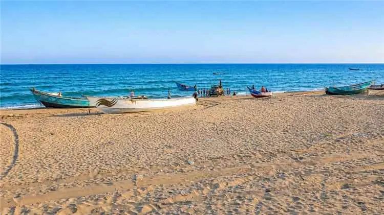 هيئة المصائد السمكية بأحور تكشف جملة من العراقيل و...