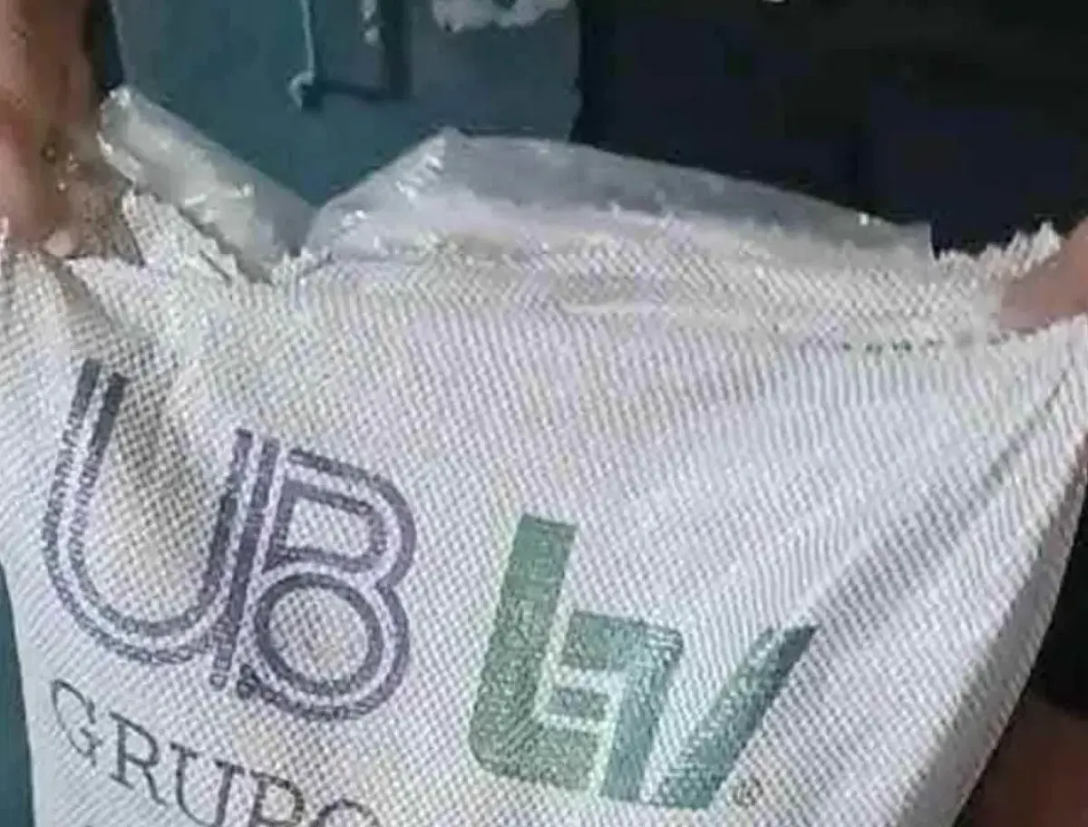 آلاف من خلايا النحل سقطت صريعة .. حلاوة الموت.. عن...