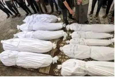 ارتفاع عدد شهداء غزة إلى 73 ألفًا و356