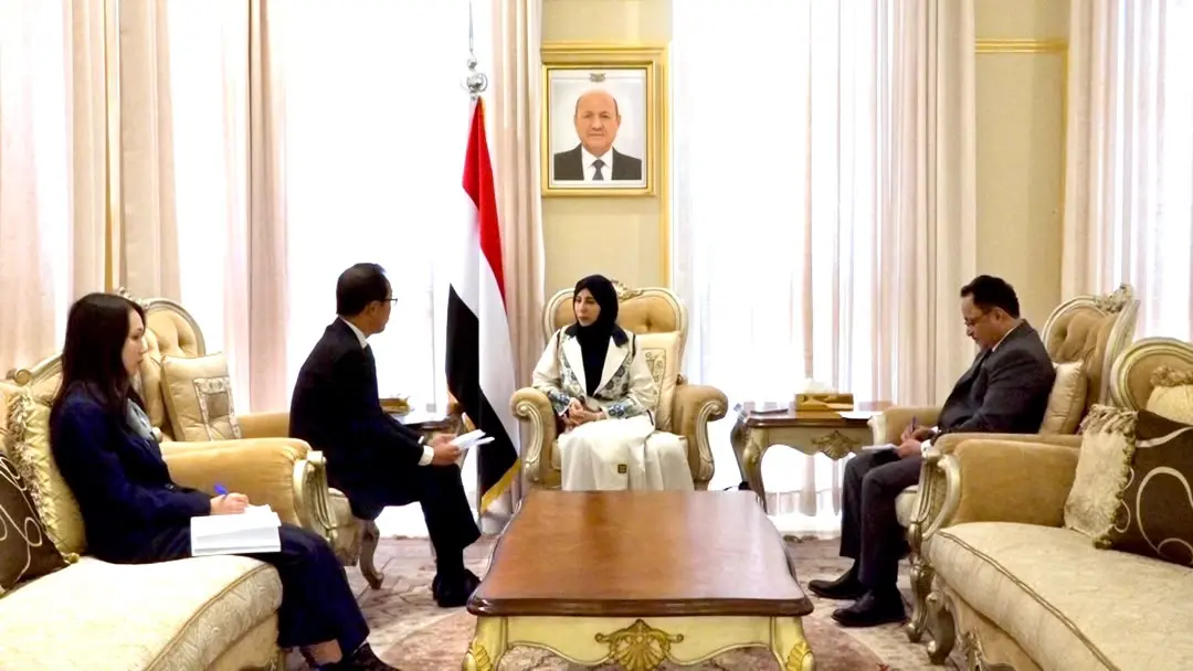 وزيرة الخارجية تبحث مع السفير الياباني تعزيز التعا...