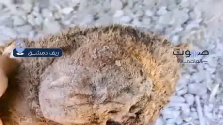 سوريا.. العثور على رفات عائلة تضم طفلا في العتيبة...