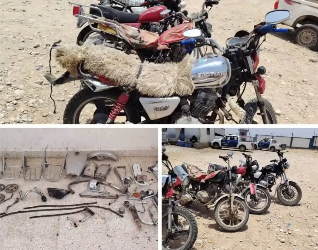 الأجهزة الأمنية بالريدة وقصيعر تطيح بمجموعة متخصصة...