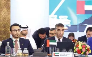 الزيودي: الإمارات تطالب بفتح مضيق هرمز دون شروط