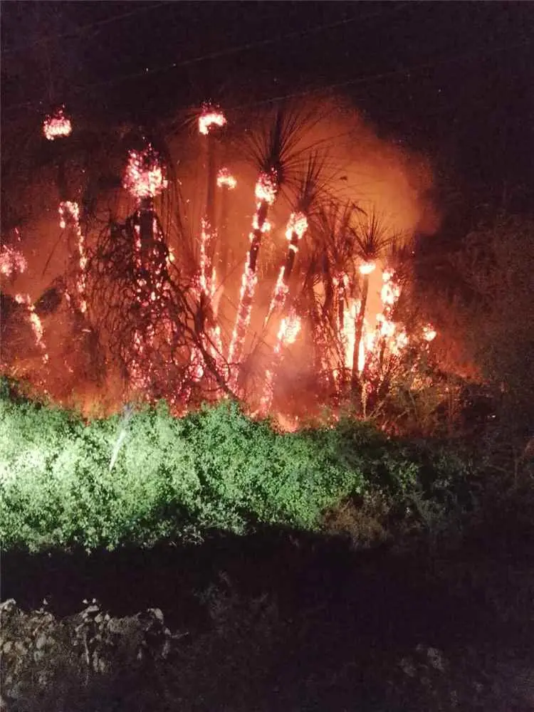 اللواء السادس بدرع الوطن يشارك في إخماد حريق هائل...