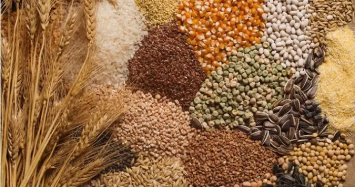 الفاو ترجح استمرار ارتفاع أسعار السلع الزراعية حتى...