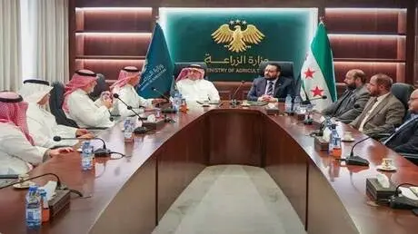 استثمار سعودي مرتقب في سوريا لإنتاج 300 ألف طن من...