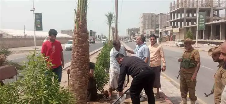 عدن.. اليزيدي يغرس النخلة رقم (211) في شارع الخمسي...