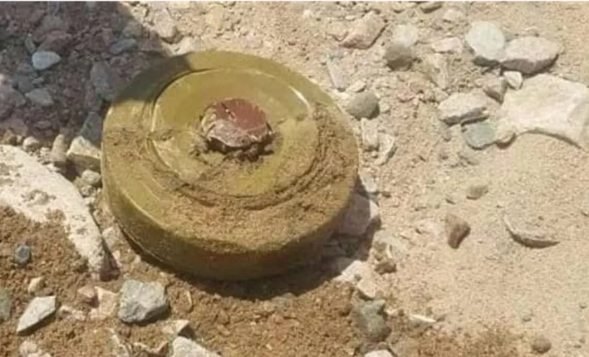 استشهاد طفل بانفجار لغم حوثي مموه في حيس جنوب الحديدة