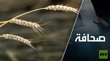 تركيا تسعى إلى إحياء صفقة الحبوب