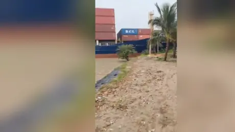 شاهد..  سفينة حاويات تصطدم بضفة نهر في الهند