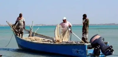 إعلان فتح موسم اصطياد الجمبري